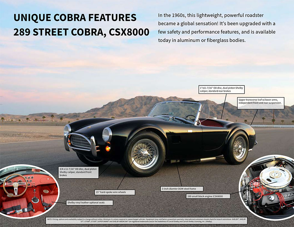 1960s Vintage Car Sex Porn - Shelby 289 Street Cobra (CSX8000)